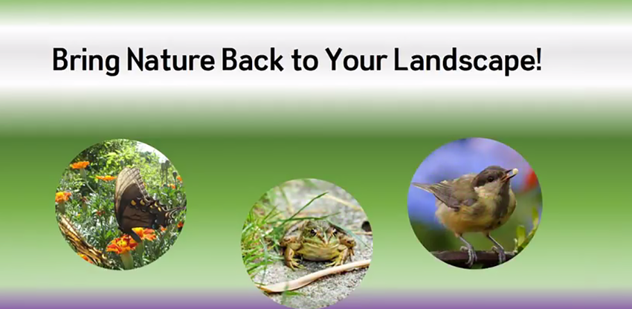Back to Nature with EcoBlend!